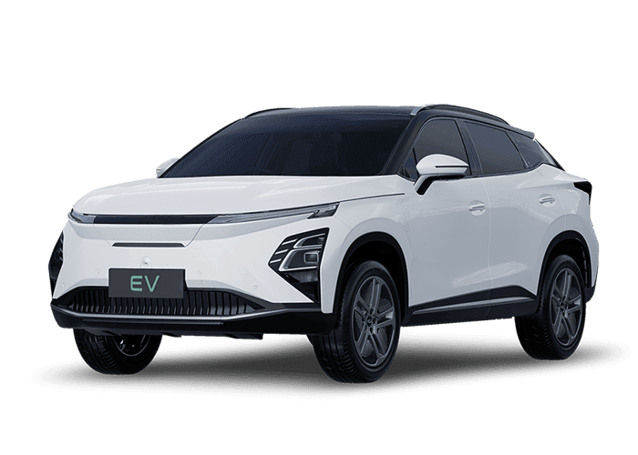 NEV FX EV